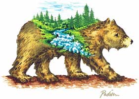 bearparc